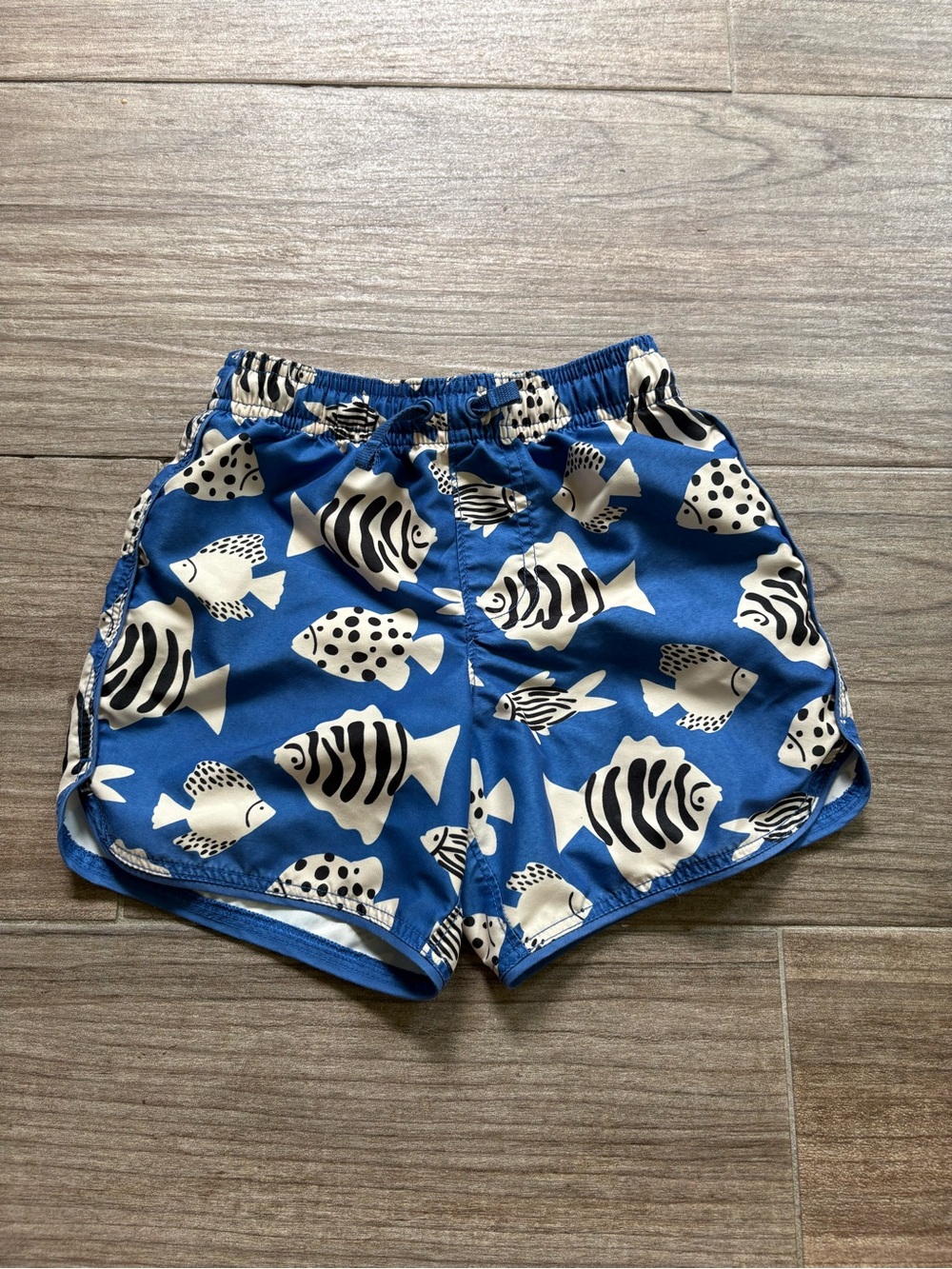 Hanna Andersson Blue Fish Print Swim shorts